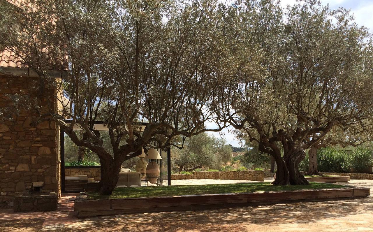 La Collegiata Bed & Breakfast