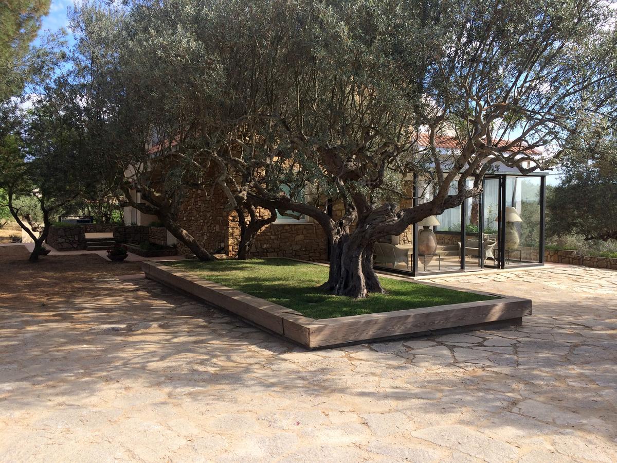 La Collegiata Bed & Breakfast